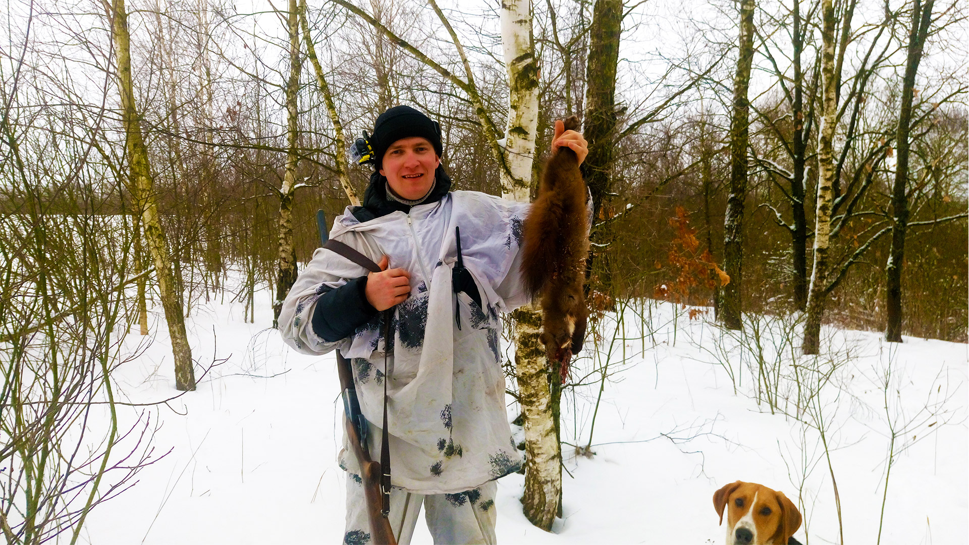 ПОШЛИ НА ОХОТУ С ГОНЧИМИ. ГОНЧАКИ ОТРАБОТАЛИ КУНИЦУ.mp4 смотреть онлайн