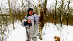 ПОШЛИ НА ОХОТУ С ГОНЧИМИ. ГОНЧАКИ ОТРАБОТАЛИ КУНИЦУ.mp4