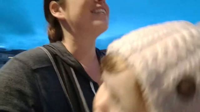 Climbing the Spanish Steps (Rome, Italy) смотреть онлайн