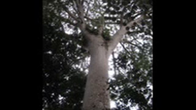 Isabella.WMV смотреть онлайн