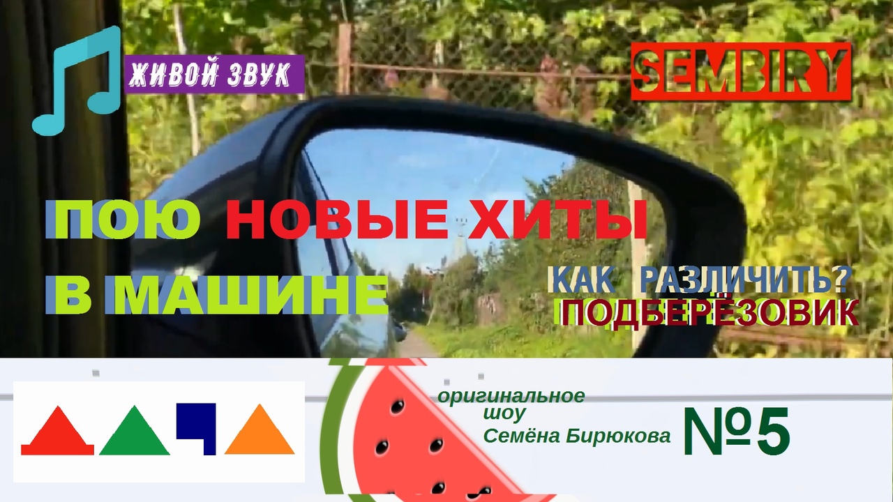 ПОДБЕРЁЗОВИК. ЧТО ПОЮ В МАШИНЕ: ЧЕБОТИНА. КОКА. NILLETO. АЛЛЕГРОВА. ШОУ ДАЧА. Выпуск от 11.09.2022 смотреть онлайн