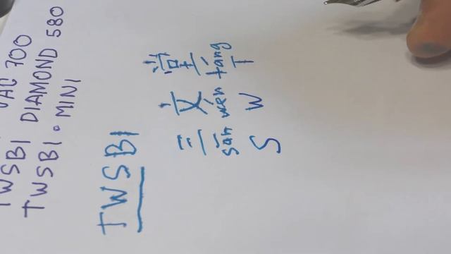 TWSBI Fountain Pen. Перьевая ручка - мечта.