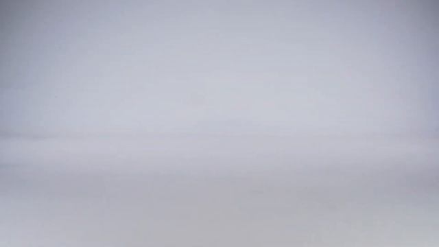 Балетки женские ORTEGA OG22691_1 смотреть онлайн