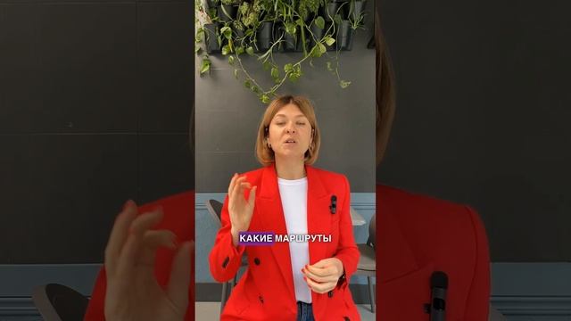 Как включить натальную карту