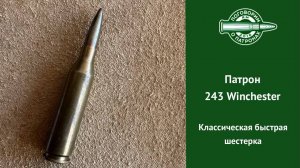 Патрон 243 Winchester, классическая быстрая шестерка