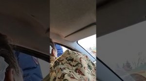 ГИБДД Жуковского остановило "РОД ЖИВЫХ ДУШ С ИМЕНАМИ РОДА ЧЕСТИ"