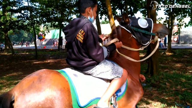 Bian Re Naik Kuda Baru di Pangkalan - Kuda Ngambek Susah Jalan !! tato denggel смотреть онлайн