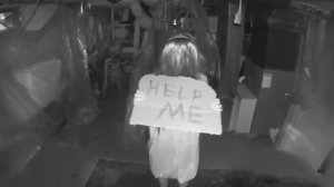 Самые жуткие существа, снятые ночь в подвале!