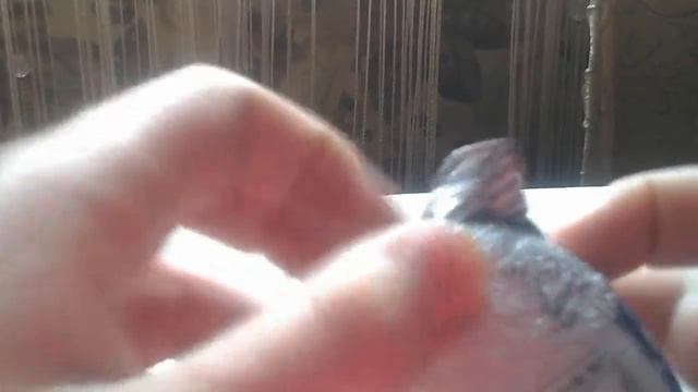 Шоколадные яйца от zaini смотреть онлайн