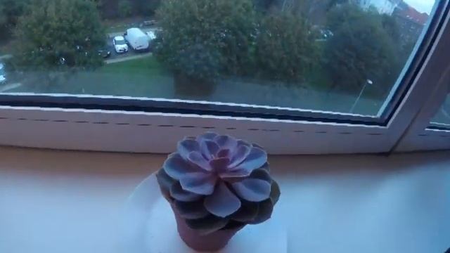 Randers, Denmark Mini Apartment Tour смотреть онлайн