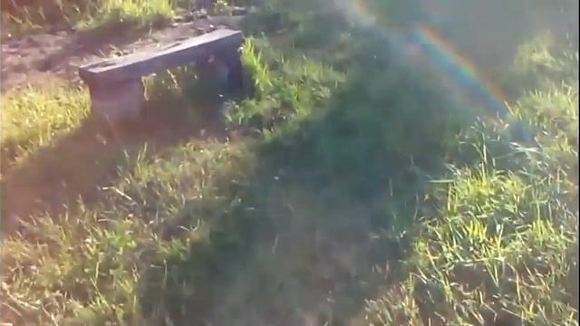 Ловля живца телевизором(экраном) смотреть онлайн