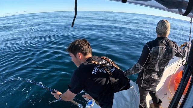 Running 240 miles in a 27ft Conch for a 225 LB Big Eye Tuna - Long Island, New York смотреть онлайн