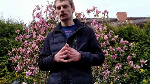 Кинули? Первые шаги в Польше. Pesel. Счёт в банке. Мобильная связь смотреть онлайн