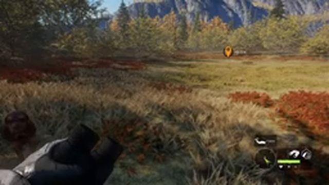 Великий Белохвостый Олень! Третий месяц поиска пошел. The Hunter Call of the Wild смотреть онлайн