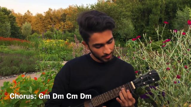 Law bas fi eni - Sireen abd el noor - Ukulele Tutorial | عزف اغنية لو بص فعيني - سيرين عبد النور смотреть онлайн
