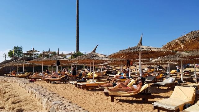 Отдых в Египте. Egypt. Коралловый пляж Бассейн Наама Бей смотреть онлайн