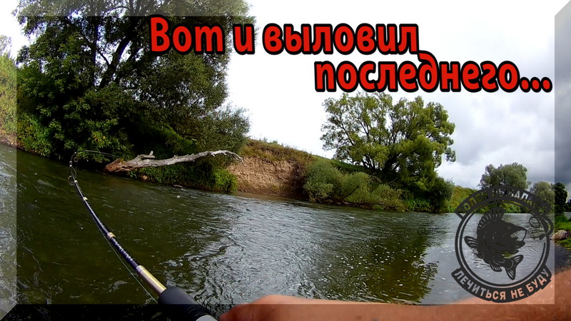 Ловля Голавля, Жереха осенью на перекате. Воблеры, Блесны, Мухи пригодилось все.Голавль на спиннинг. смотреть онлайн