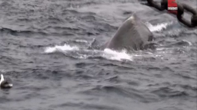 4 серия смотреть онлайн