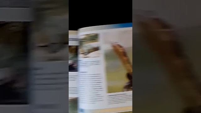 Обзор книги Царство животных смотреть онлайн