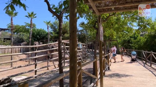?? Где отдохнуть в Испании летом всей семьей? Аквапарк Terra Natura смотреть онлайн