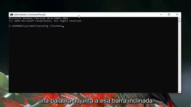 Cómo reparar el error 403 Prohibido en Google Chrome [Pasos] смотреть онлайн