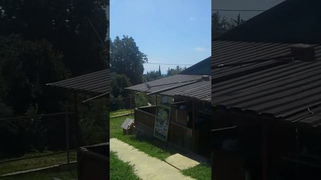 Тигровые креветки на мангале в Псырцхе(3) смотреть онлайн