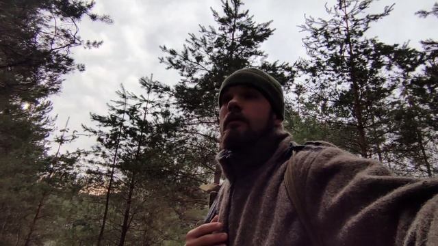 Охота с лайками на куницу ч2 смотреть онлайн