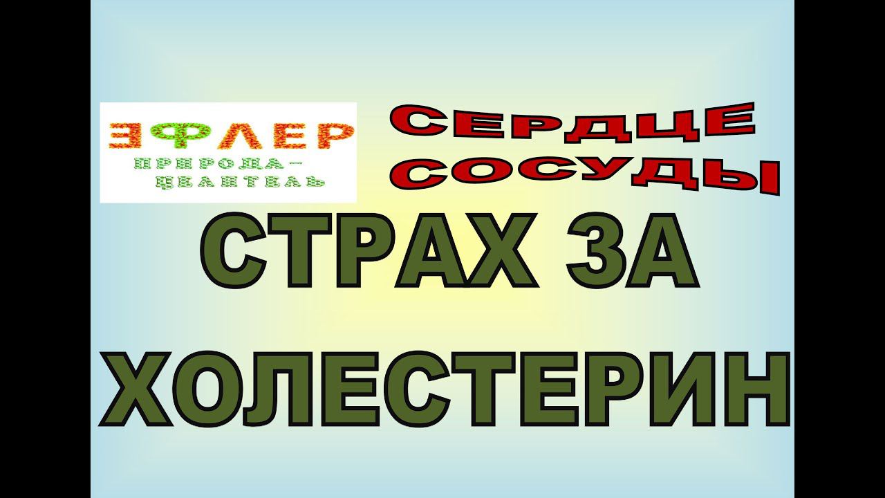 СС13 - А не ПОВЫШЕН ли мой ХОЛЕСТЕРИН? И почему? смотреть онлайн