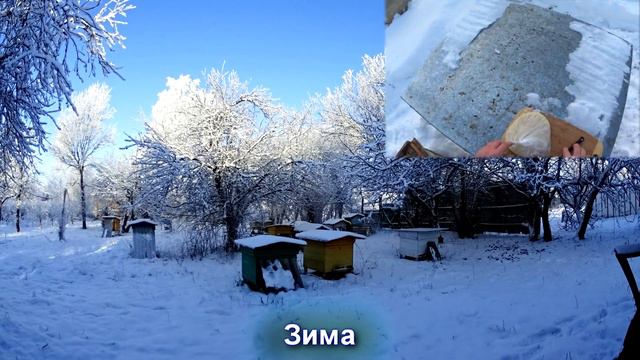 Работы на пасеке в течение года. Ускоренное видео (Time Lapse) смотреть онлайн