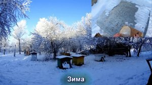 Работы на пасеке в течение года. Ускоренное видео (Time Lapse)