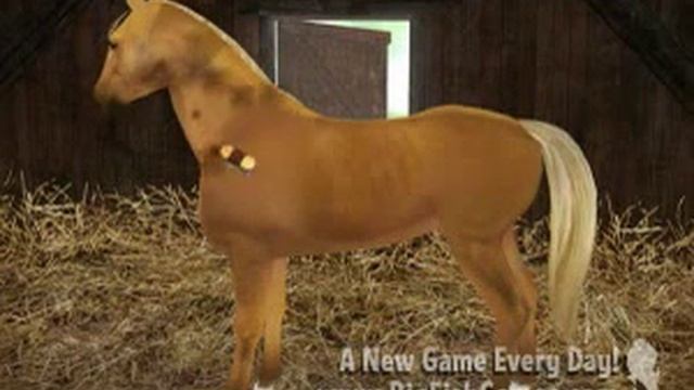 Planet Horse / Hidden Objects Game смотреть онлайн