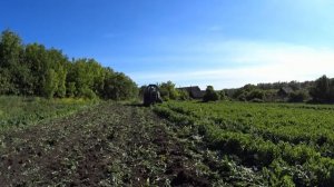 МТЗ-80 с СУПЕР ДИСКОВОЙ БОРОНОЙ!!