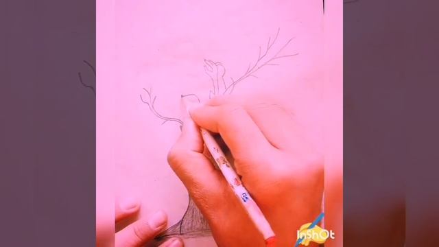 Drawing by fancy writing смотреть онлайн