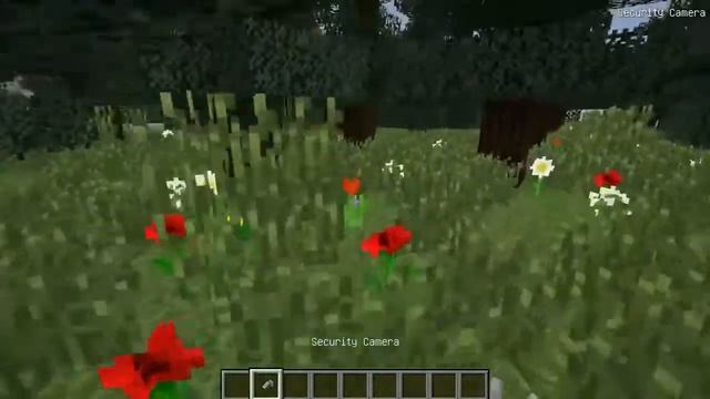 Слежу за гренни через камеру в реальной жизни Maincraft смотреть онлайн