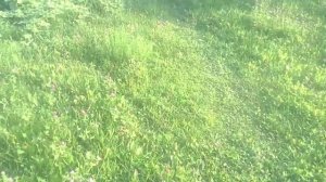 STIHL FS 460 C M Обзор