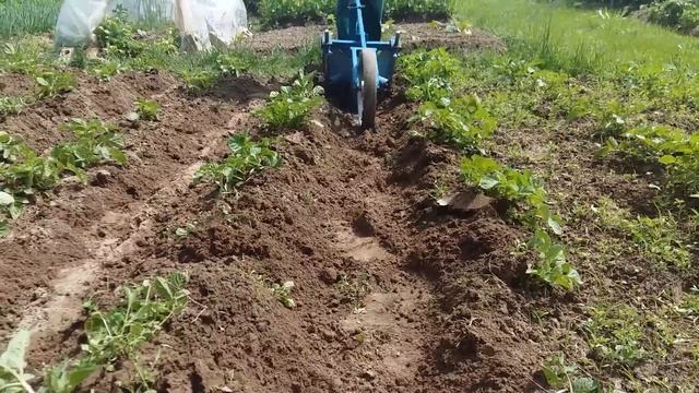 Окучник для картофеля своими руками, или как не надорвать спину смотреть онлайн