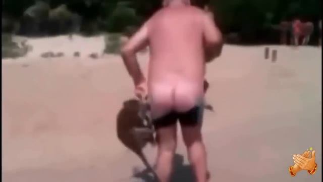 ПОЛНЫЙ РЖАЧ!!! Прикольные обезьяны со смешной озвучкой. НОВАЯ ПОДБОРКА смотреть онлайн