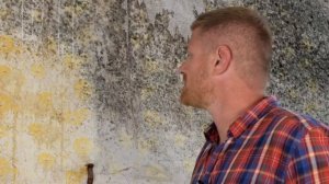 Уничтожение плесени с обоев в жилых помещениях профессиональными составами