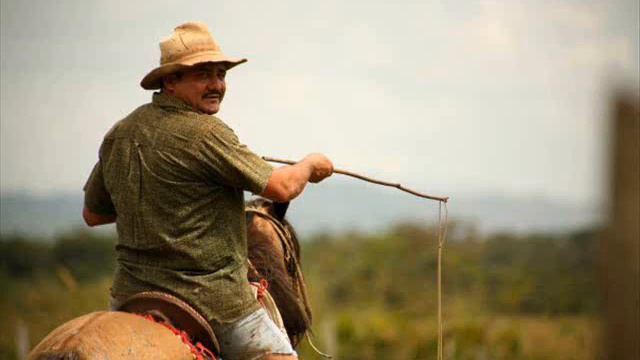 Lorgio Rodriguez-Yo quiero tener un fundo смотреть онлайн