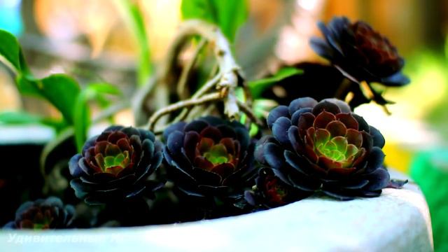 Мантра для удаления депрессии