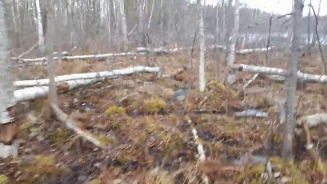 Советские монеты. День шести монет. смотреть онлайн