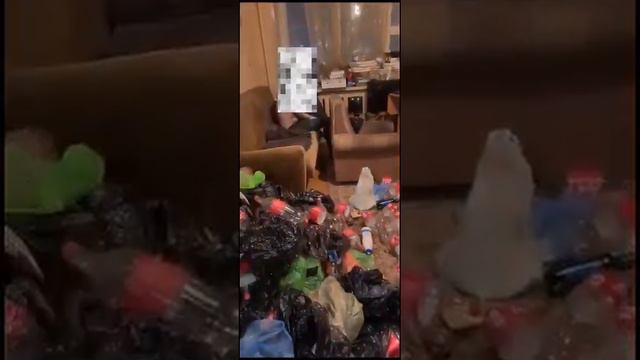 квартиросъемщик, кока кола смотреть онлайн