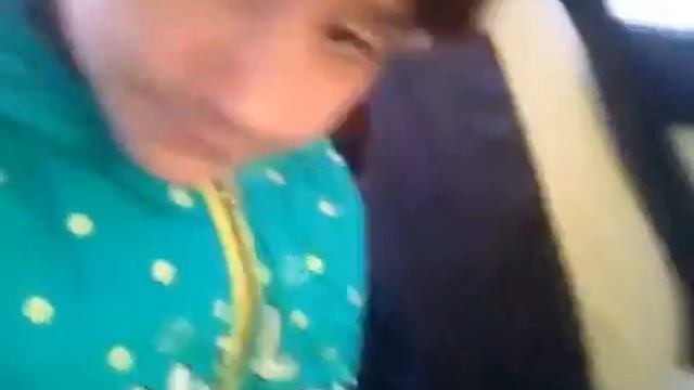 Влог:Покупаем Британца Вислоухого Котёнка смотреть онлайн