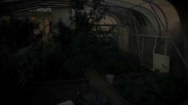 Сообщите, где торгуют смертью (2023) смотреть онлайн