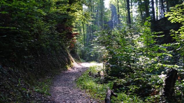 Spaziergang 2022 09 03 u 04 Sa u So Steine und Baumstümpfe смотреть онлайн