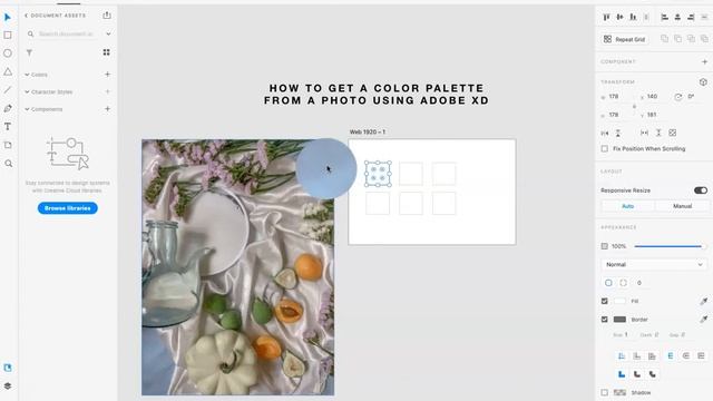How to create a color palette from an image using Adobe XD #tutorial смотреть онлайн