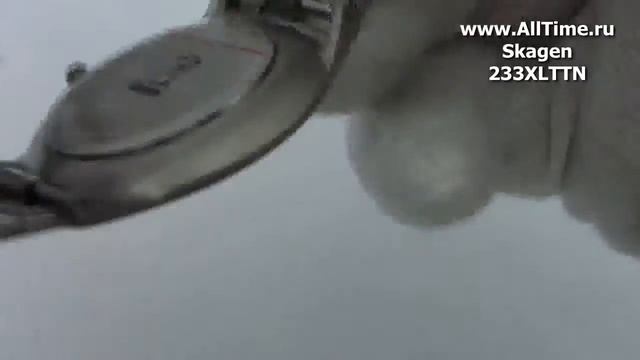 Обзор. Мужские наручные часы Skagen 233XLTTN смотреть онлайн