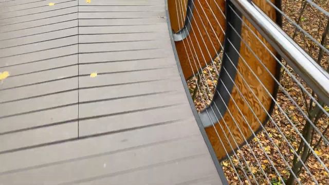 Экотропа на ВДНХ со ВСЕХ ракурсов/Такого формата вам еще не показывали смотреть онлайн