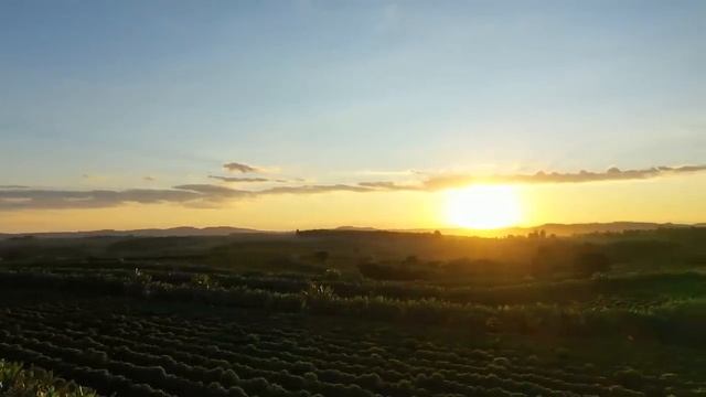 Hi-Res Music Playlist 2024 - Studio Records 24 Bit/192Khz - Audiophile Music Collection