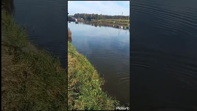 15 сентября 2023 г. смотреть онлайн